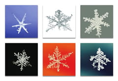 Selection from the UH Art Collection