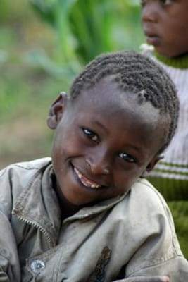 Selection from the UH Art Collection