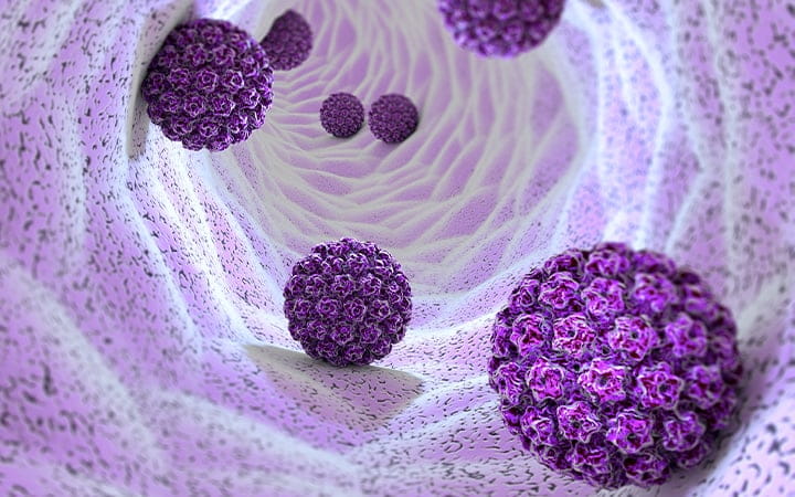 HPV illustration