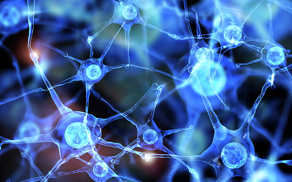Microscopic view of neurons and synapses
