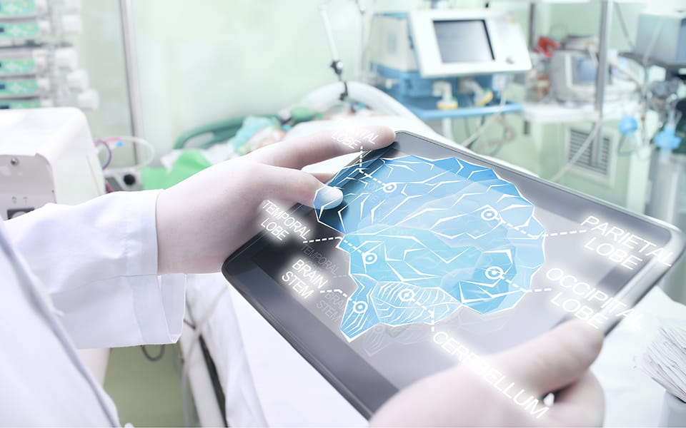 Provider studying diagram of the human brain