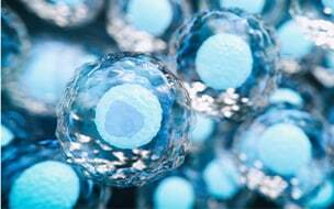 How Stem Cells Can Help Sports-Related Injuries