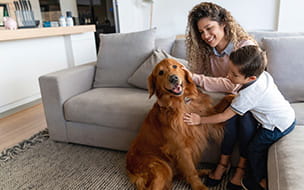 Helping Your Kids and Pets Stay Safe Together