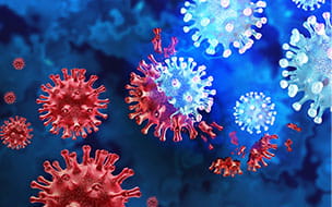 The COVID Omicron Variant: What You Need To Know