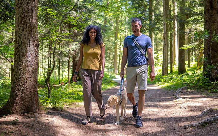 Smiling adult couple walking their dog on a pathway between grown trees on a sunny summer day