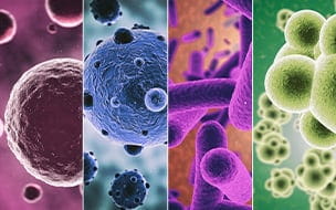 Is Your Infection Bacterial or Viral?