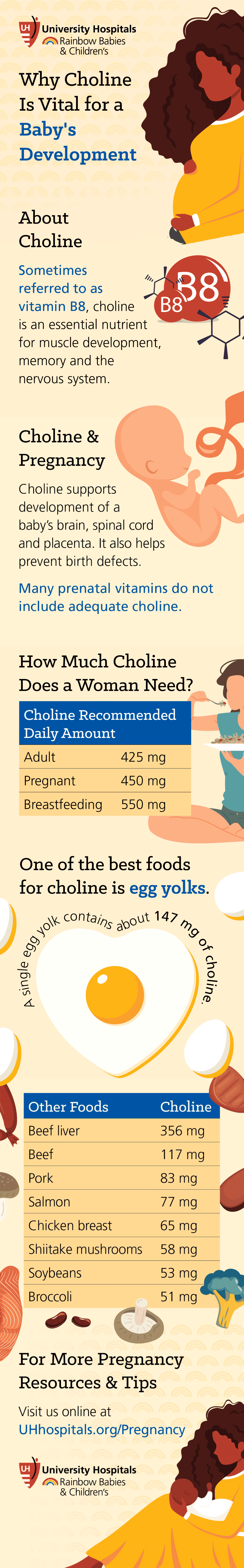 Infographic: Why Choline Is Vital for a Baby's Development