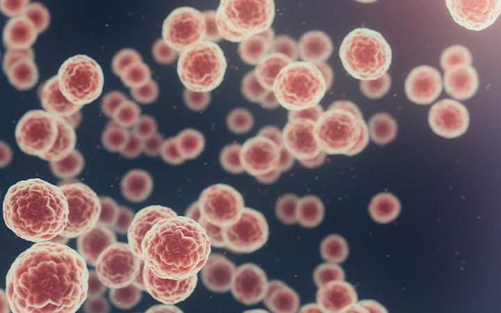 Microscopic view of cancer cells