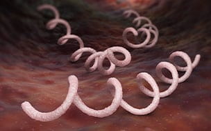 Syphilis Is Making a Big Comeback. What You Should Know.