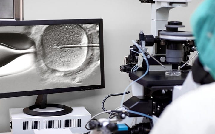 In Vitro Fertilization Shown on a Computer Monitor