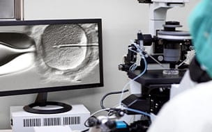 In Vitro Fertilization Shown on a Computer Monitor