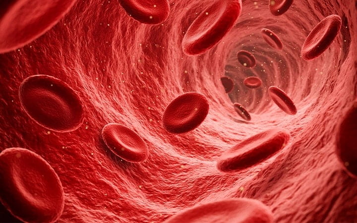 Illustration of red blood cells flowing through the blood stream