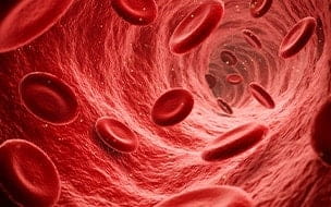 How Nitric Oxide Fuels Your Health