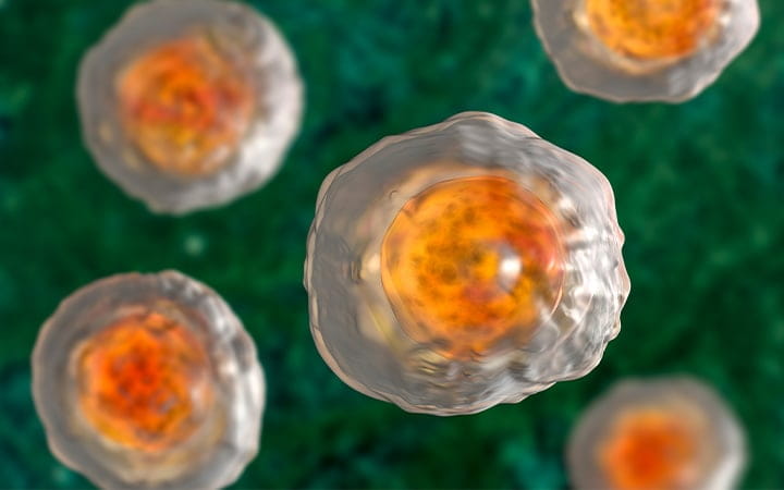 Parasite eggs under a microscope