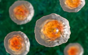 Parasite Cleanses: Hype or Helpful?