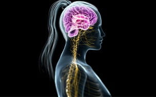 Stiff Person Syndrome: A Rare Neurological Disorder