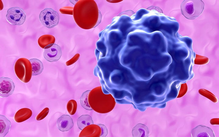 An illustration of the Parvovirus B19 infection