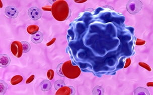 An illustration of the Parvovirus B19 infection