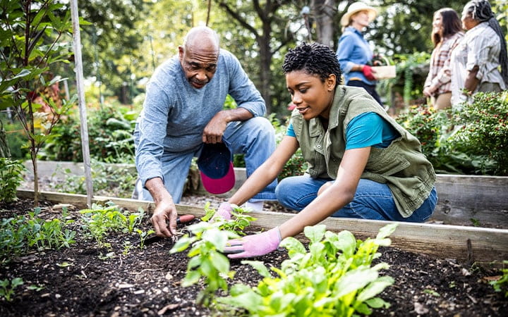 A father and his adult daughter working in a community garden