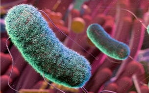 Improve Your Gut Health With Resistant Starch