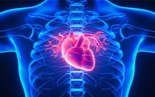 When Should You Consider Genetic Testing for Heart Disease?