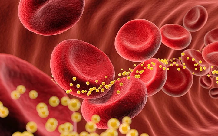 Illustration of a blood cell with cholesterol