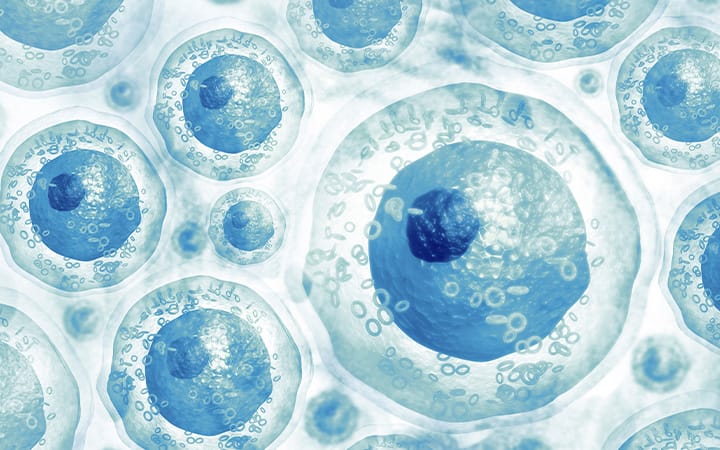 Illustration of a group of cells