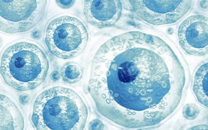 How Well Will You Age? Your Cells May Hold Clues