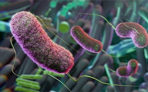 Inflammatory Bowel Disease Is on the Rise