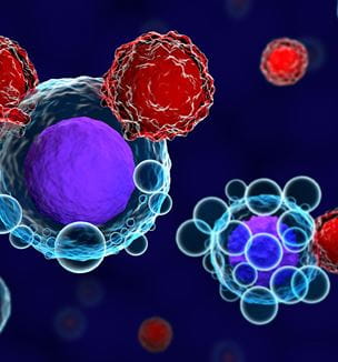 CAR T cells