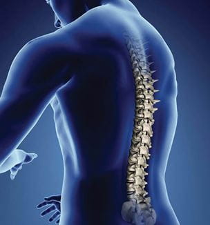 Blue spine