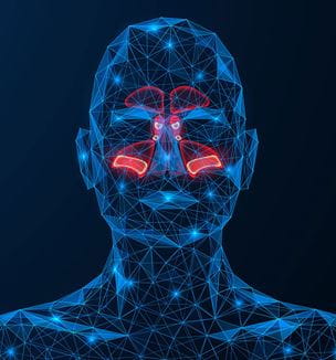 Rhinology medical illustration