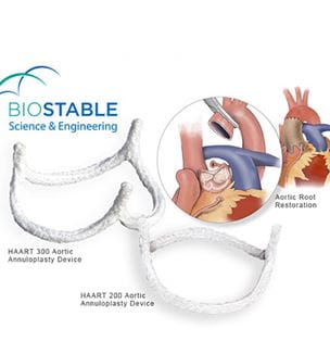 Biostable Aortic Valve illustration