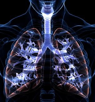 Lung illustration