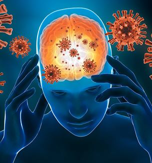 Brain viral infection illustration