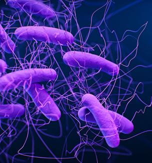Getty C.Difficile bacteria illustration