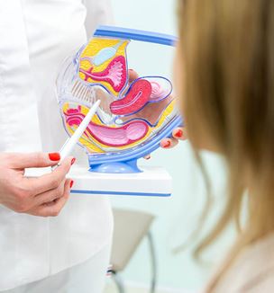 image depicting physician meeting with patient on female consult