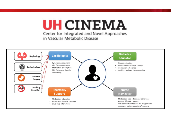 CINEMA Flow Chart