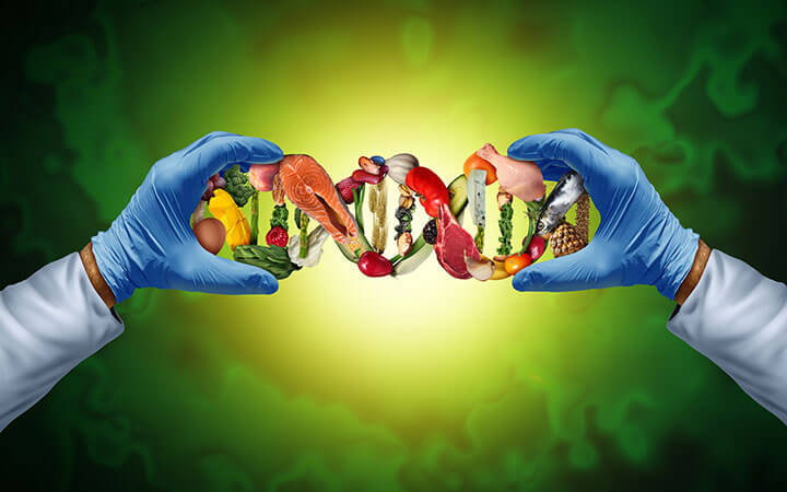 Gloved medical hands holding genetic food chain depicting science and food.