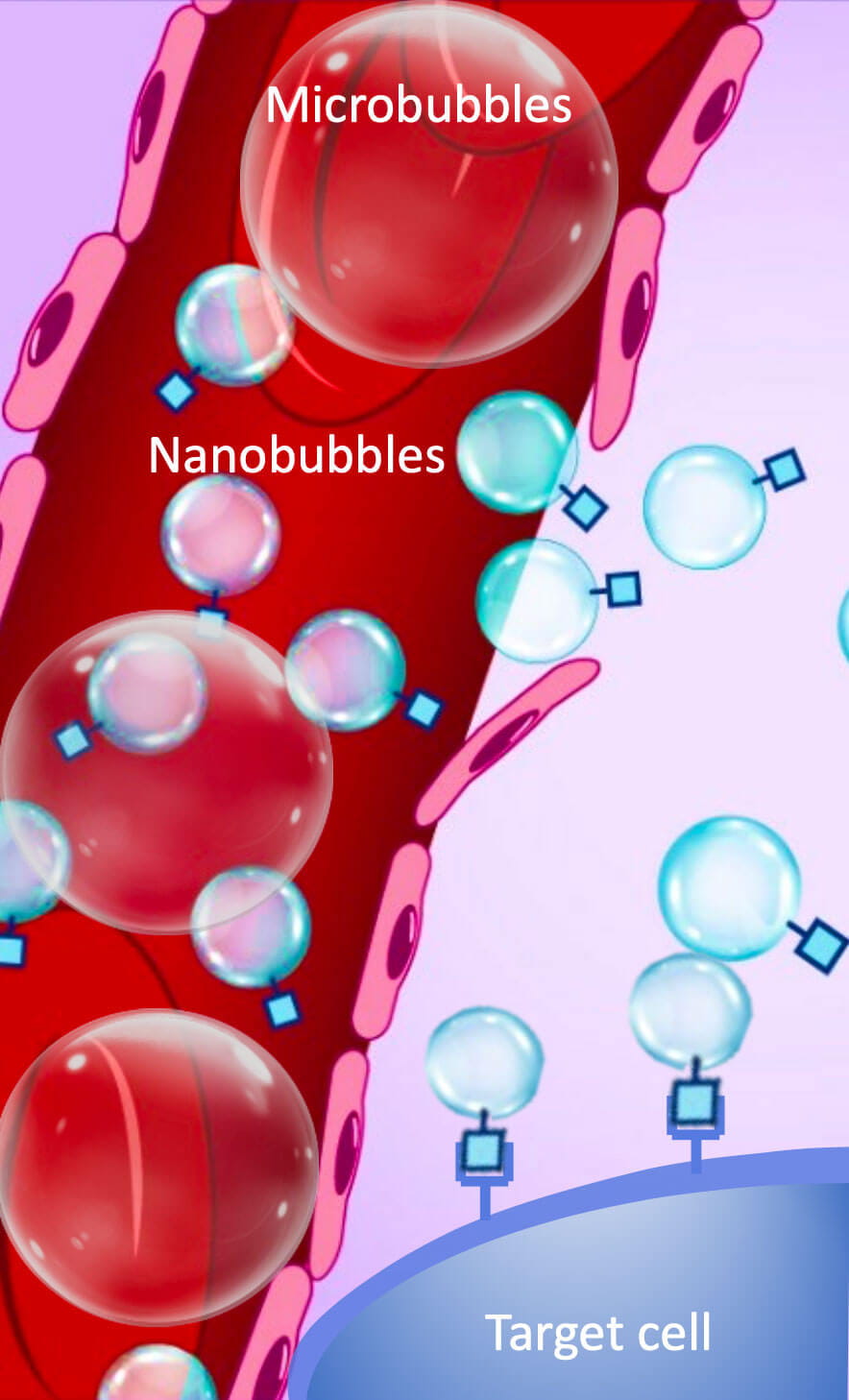 Nanobubbles