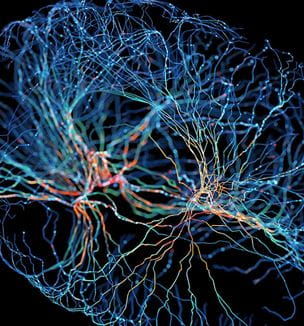 Getty image illustration of Neuro system