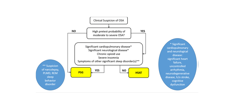 Sleep Study Algorithm graphic