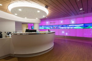 Pediatric Hematology and Oncology Fellowship