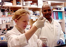 Research Training 2