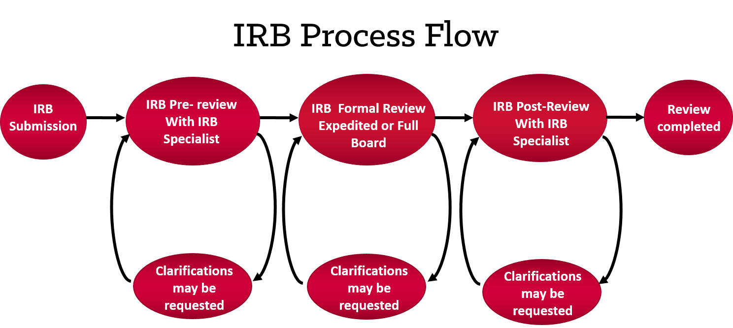 IRB Process Flow