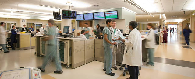 Department of Medicine Divisions