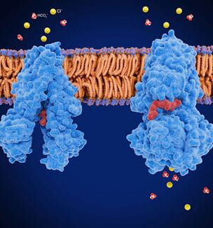 Getty image illustration of CFTR protein