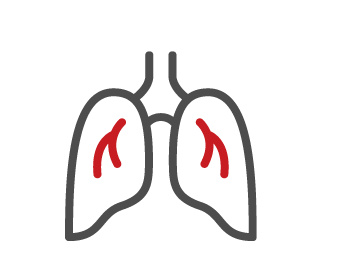 lungs icon