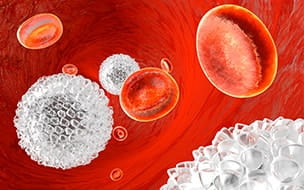 Illustration of erythrocytes and leukocytes flowing in a blood vessel