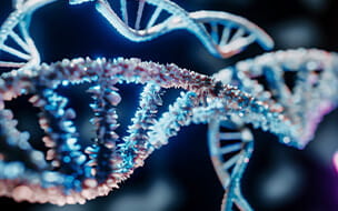3D Rendering of a DNA helix
